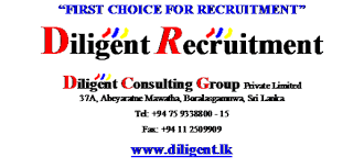                                                 Diligent Consulting Group